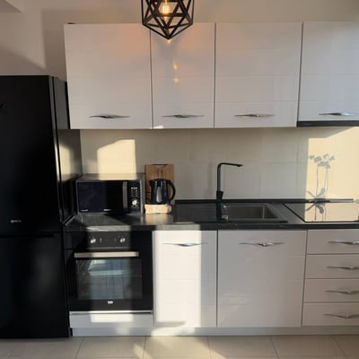 Location d’un appartement de 2 pièces avec vue sur le parc, 40 m², Zvezdara, Belgrade, Serbie